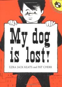 My Dog Is Lost