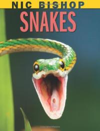 Snakes