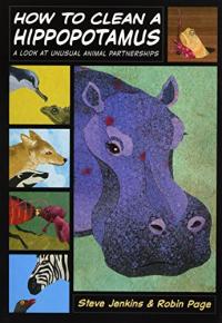 How to Clean a Hippopotamus: A Look at Unusual Animal Partnerships